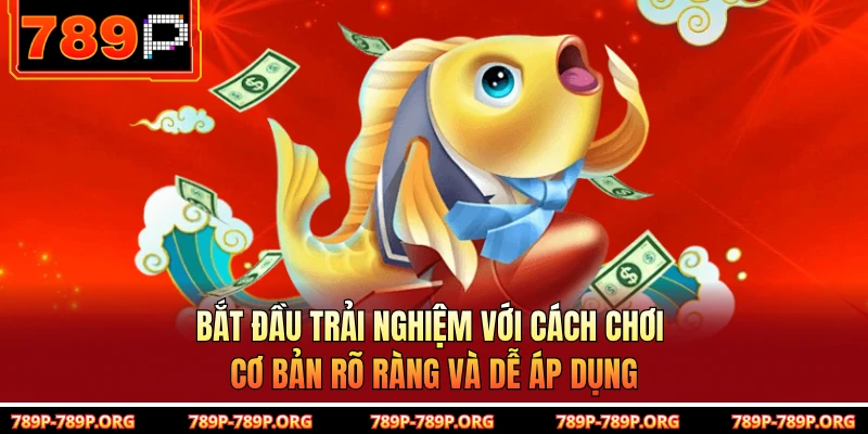 Bắt đầu trải nghiệm với cách chơi cơ bản rõ ràng và dễ áp dụng