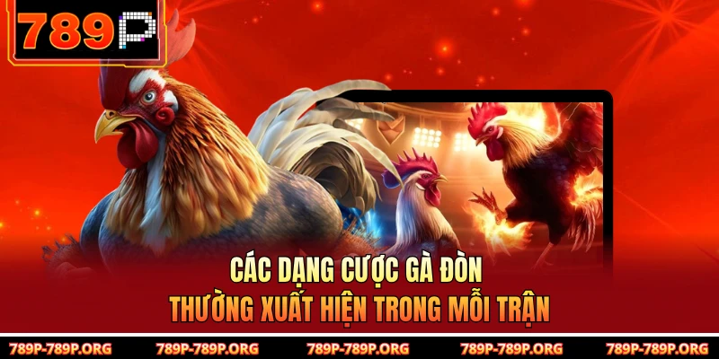 Các dạng cược gà đòn thường xuất hiện trong mỗi trận