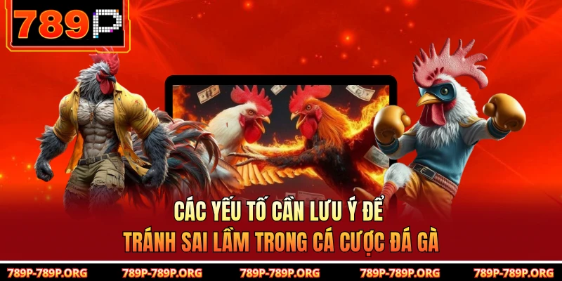 Các yếu tố cần lưu ý để tránh sai lầm trong cá cược đá gà 