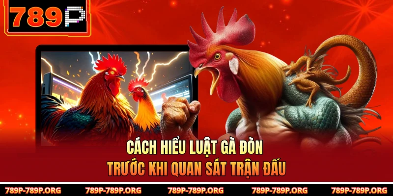 Cách hiểu luật gà đòn trước khi quan sát trận đấu 