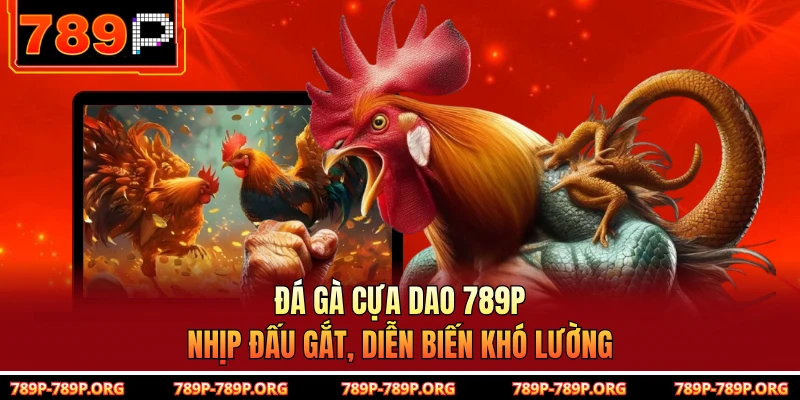 Đá Gà Cựa Dao 789P - Nhịp Đấu Gắt, Diễn Biến Khó Lường