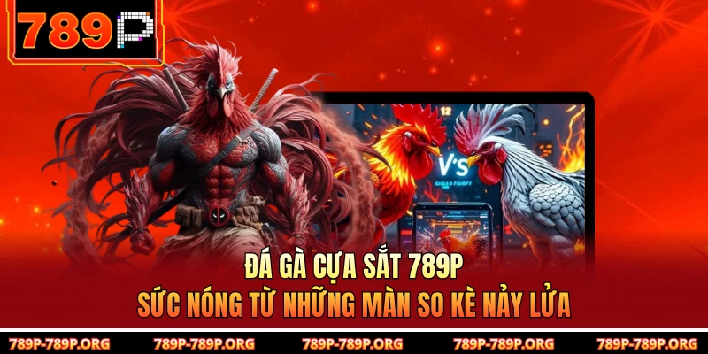 Đá Gà Cựa Sắt 789P – Sức Nóng Từ Những Màn So Kè Nảy Lửa