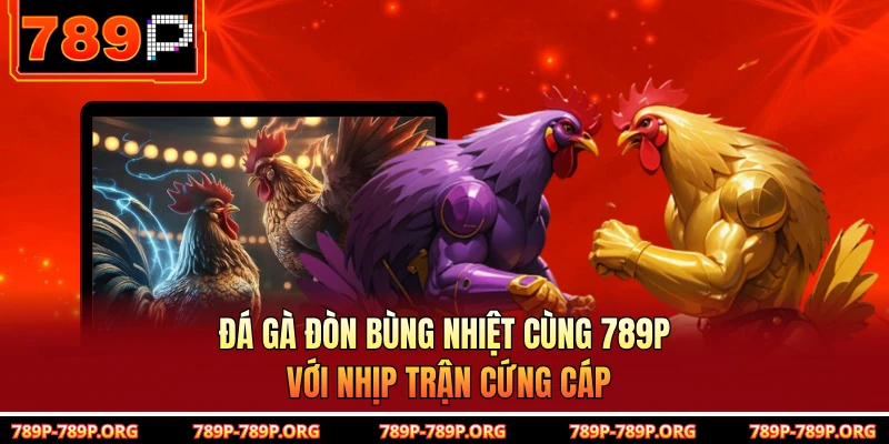 Đá Gà Đòn Bùng Nhiệt Cùng 789P Với Nhịp Trận Cứng Cáp