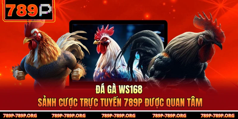 Đá Gà Ws168 – Sảnh Cược Trực Tuyến 789P Được Quan Tâm