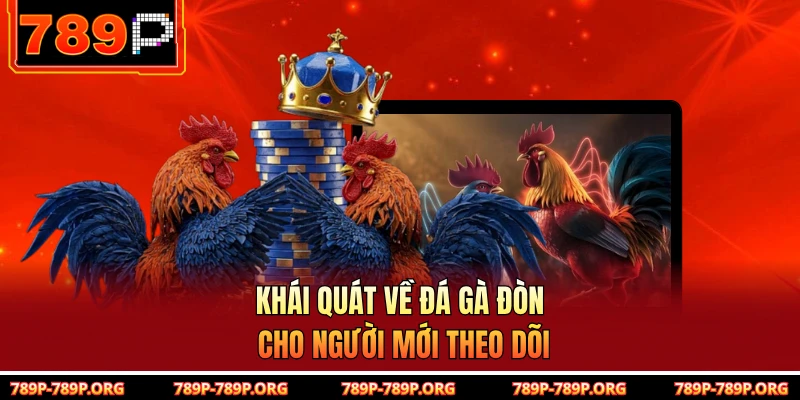 Khái quát về đá gà đòn cho người mới theo dõi 