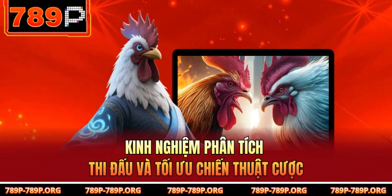 Kinh nghiệm phân tích thi đấu và tối ưu chiến thuật cược 