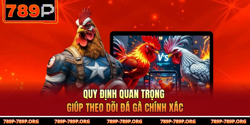 Quy định quan trọng giúp theo dõi đá gà chính xác 