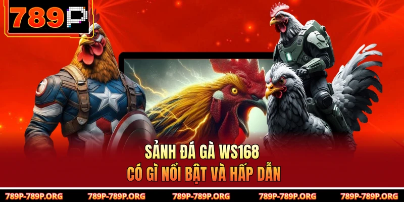 Sảnh đá gà ws168 có gì nổi bật và hấp dẫn 