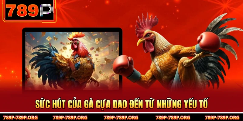 Sức hút của gà cựa dao đến từ những yếu tố 