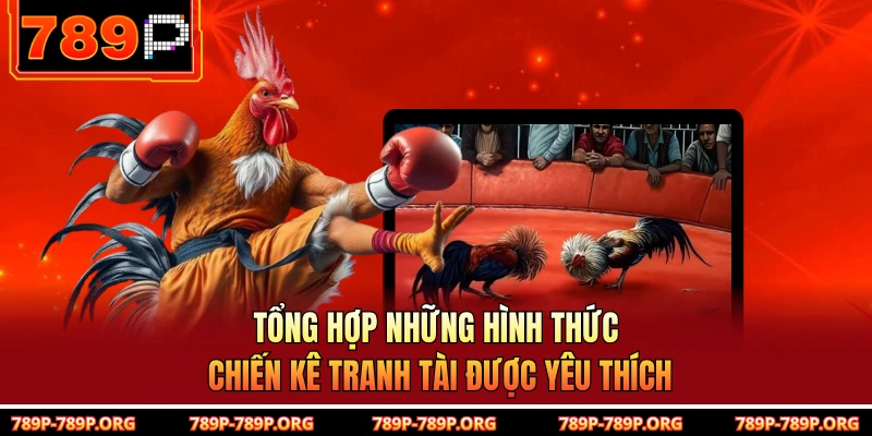 Tổng hợp những hình thức chiến kê tranh tài được yêu thích 