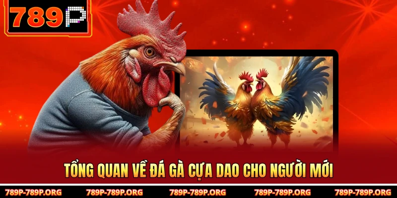 Tổng quan về đá gà cựa dao cho người mới 